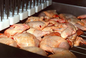 Инъекторы промышленные для мяса птицы | Garos (Швеция)